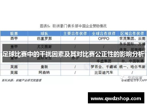 足球比赛中的干扰因素及其对比赛公正性的影响分析