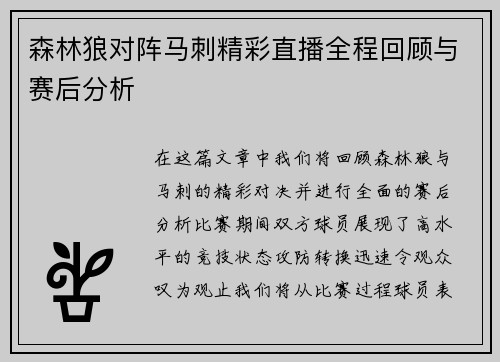 森林狼对阵马刺精彩直播全程回顾与赛后分析