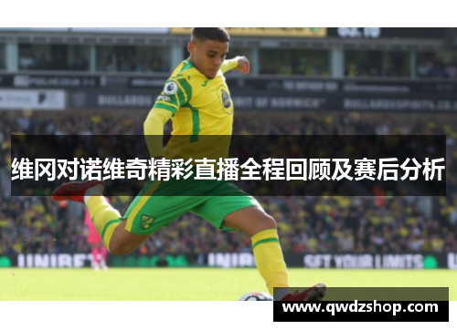 维冈对诺维奇精彩直播全程回顾及赛后分析